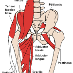 The Rocking Hip Flexor Stretch