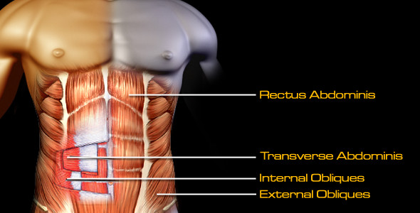 How To Properly Train Your Abs 