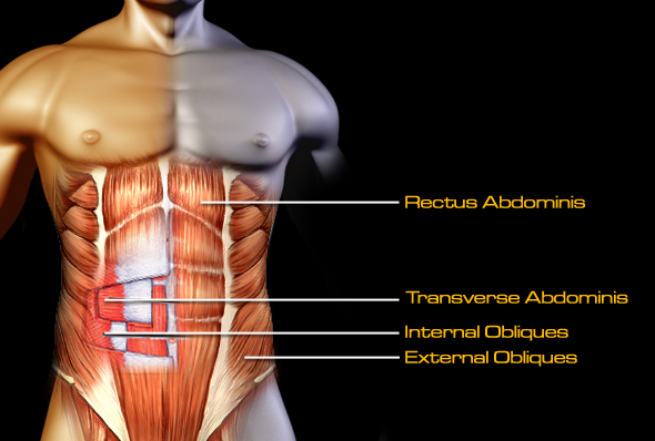 Back Pain Coming from Abs Rectus Abdominis