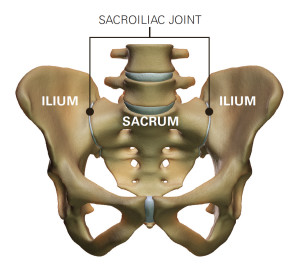 the best exercise to reduce low back pain