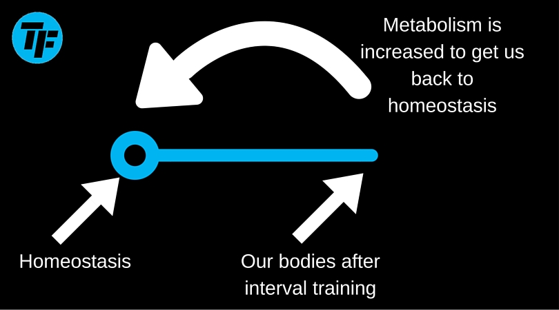 fat loss hierarchy