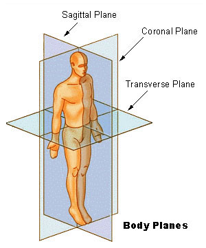 Body_planes